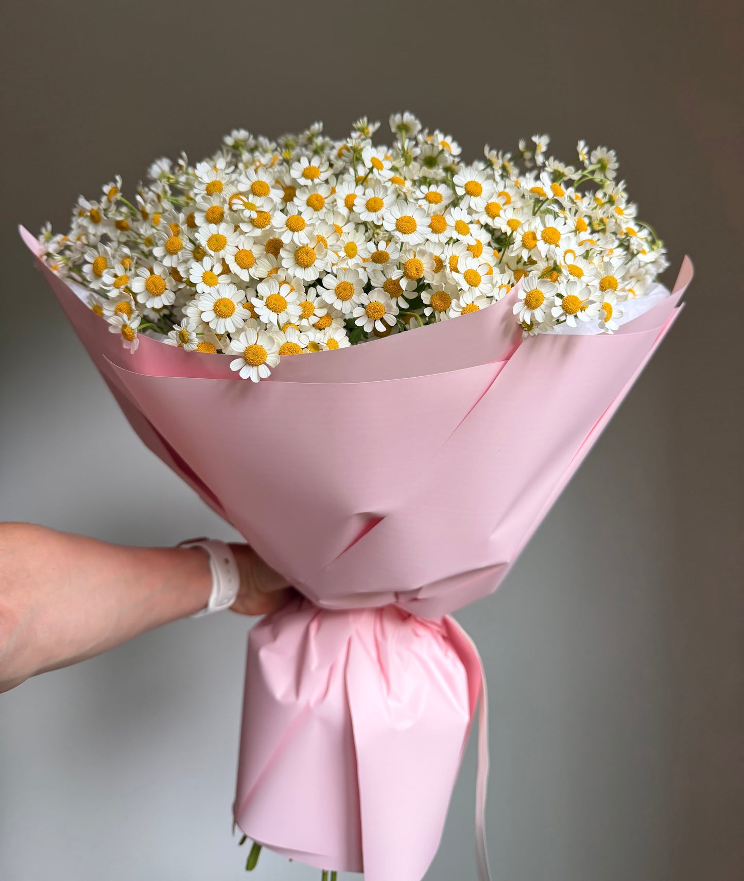 Bouquet "Chamomile Field" Chamomile