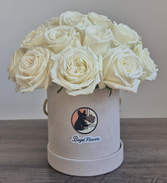 Basket "Vanilla Ice cream" White Roses