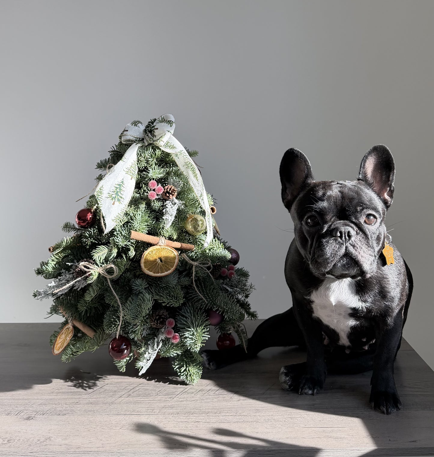 Christmas Spirit, evergreen branches