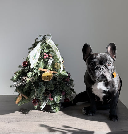 Christmas Spirit, evergreen branches