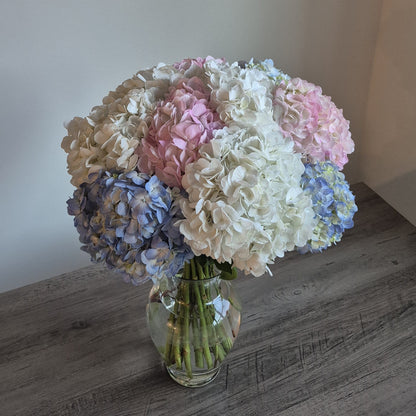 Bouquet "Cotton Sky" Hydrangeas