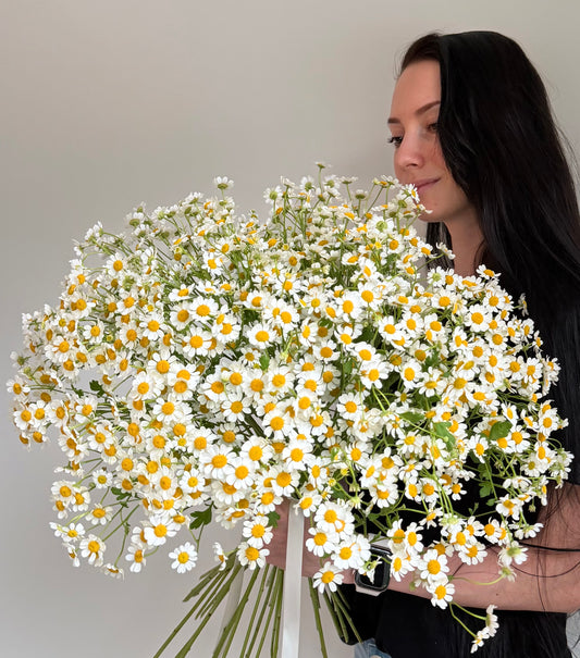 Bouquet "Chamomile Field" Chamomile