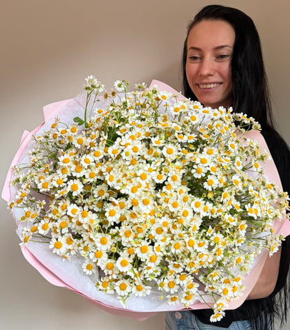 Bouquet "Chamomile Field" Chamomile