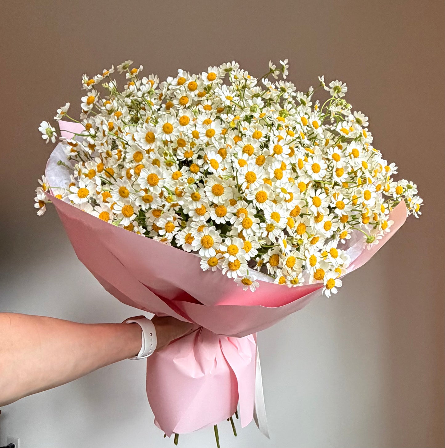 Bouquet "Chamomile Field" Chamomile