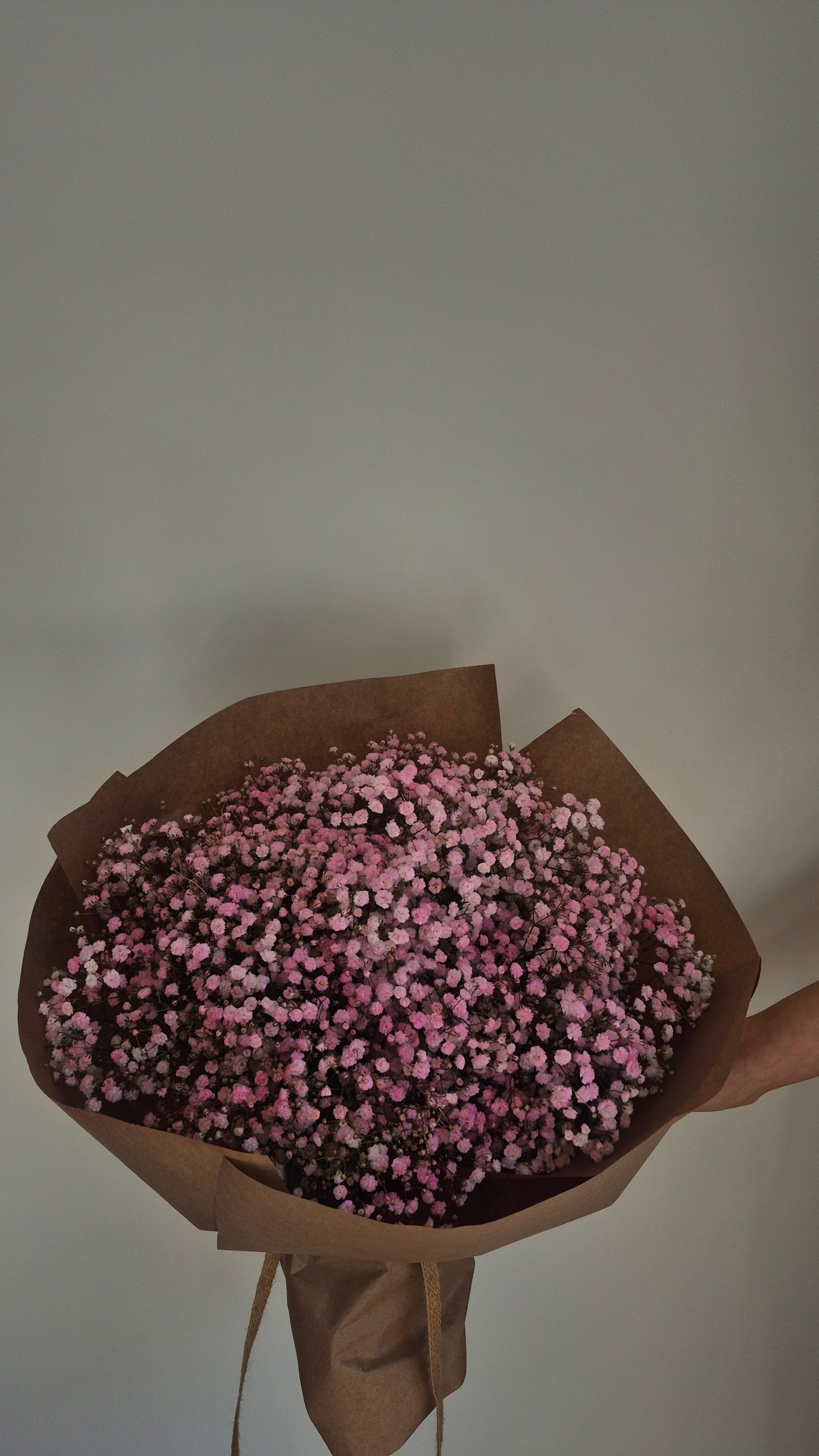 Bouquet "Baby's Breath" Gypsophila