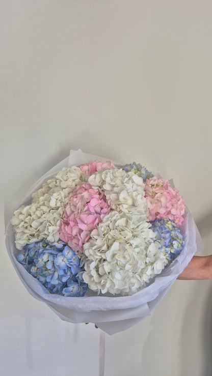 Bouquet "Cotton Sky" Hydrangeas